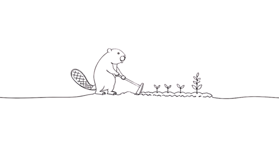 Garden design