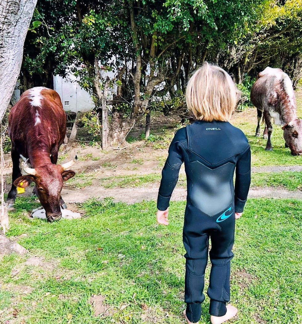 boy in wetsuit with cows
