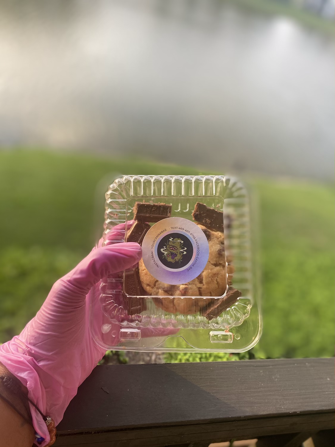 “Baked” Cookies 