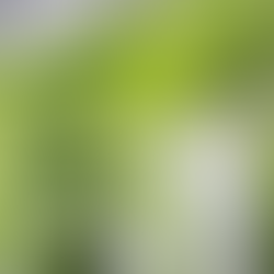 celery juice, celery juice recipe, celery juice benefits, celery juice aesthetic, detox juice, detox juice recipes, liver detox drink, cleanse your liver