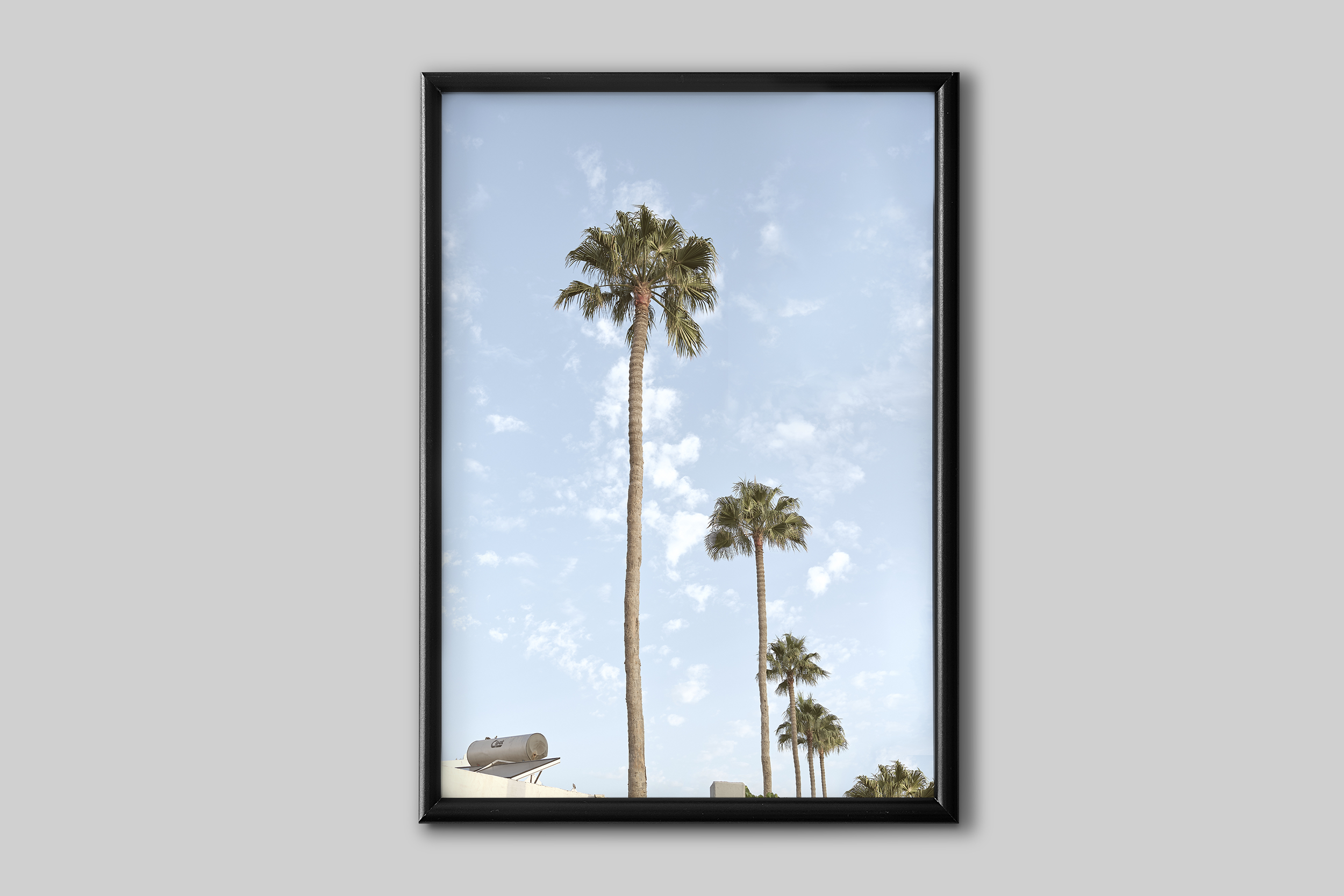 DUNES & PALMS No 2