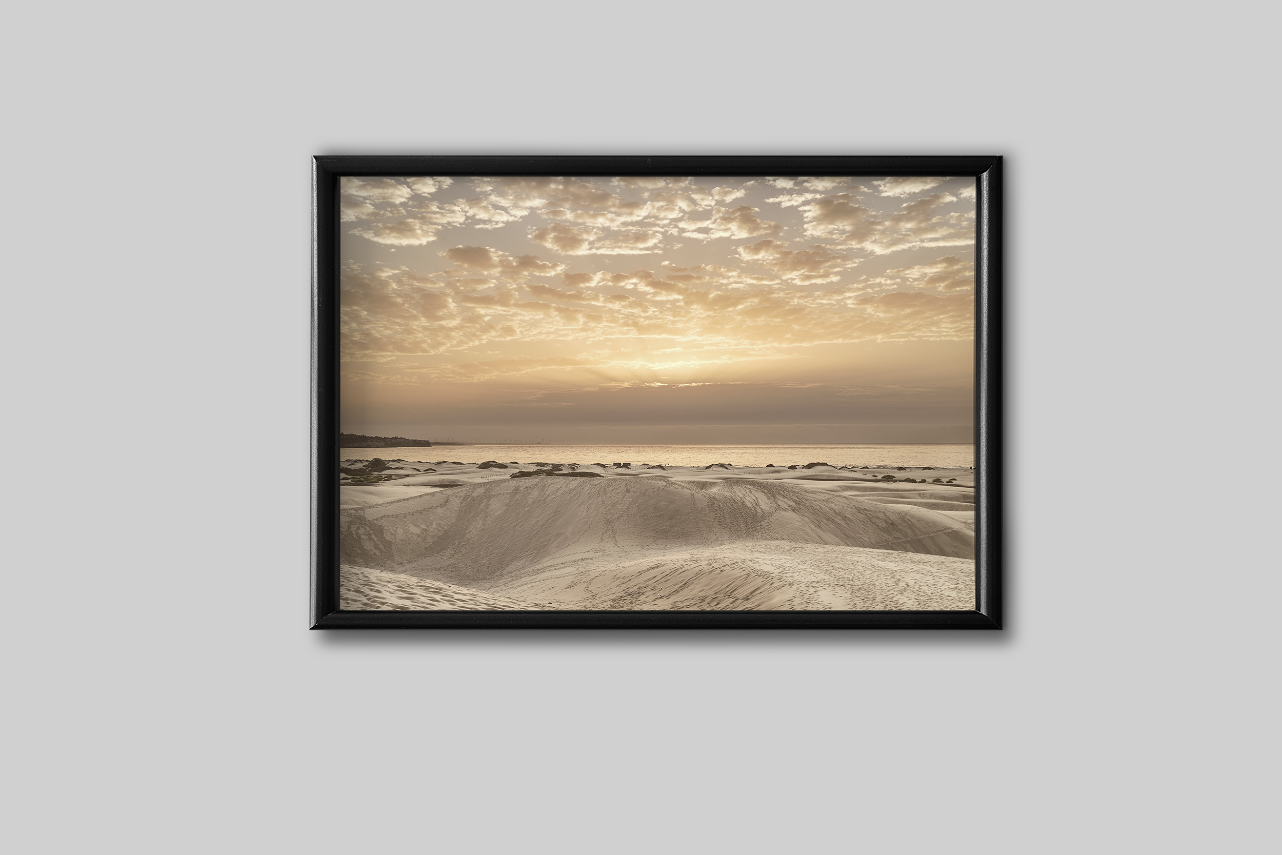DUNES & PALMS No 1