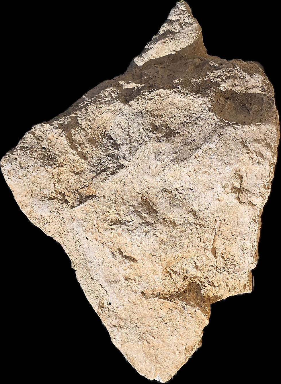 Petit Bloc rocheux Faux rocher Piscine & jardins