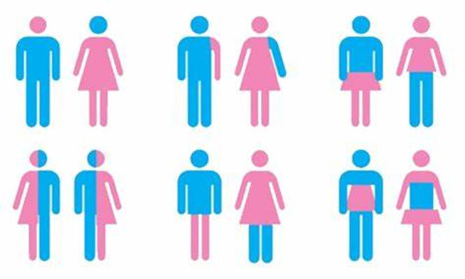 Gender Fluidity Examples Gender Fluidity In K-12 Schools In Kansas (Final)