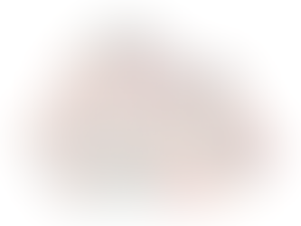 A Guiding light: Why Emotions Matter