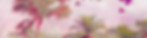 SHOP FOOTER.jpg