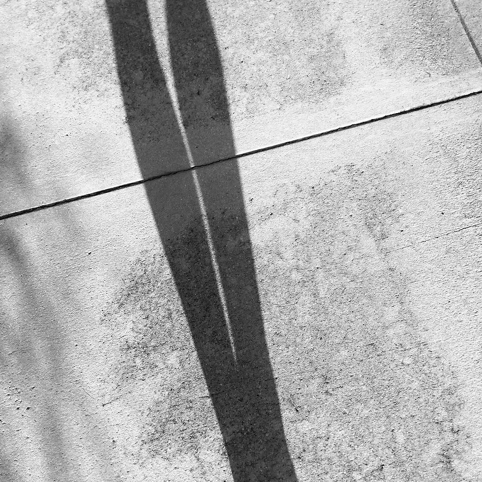 black and white shadow