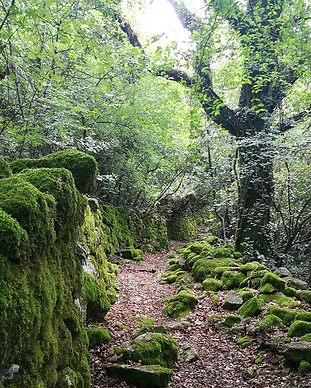 Palaudu, rentoudu ja voimaannu Montenegrossa_.jpg