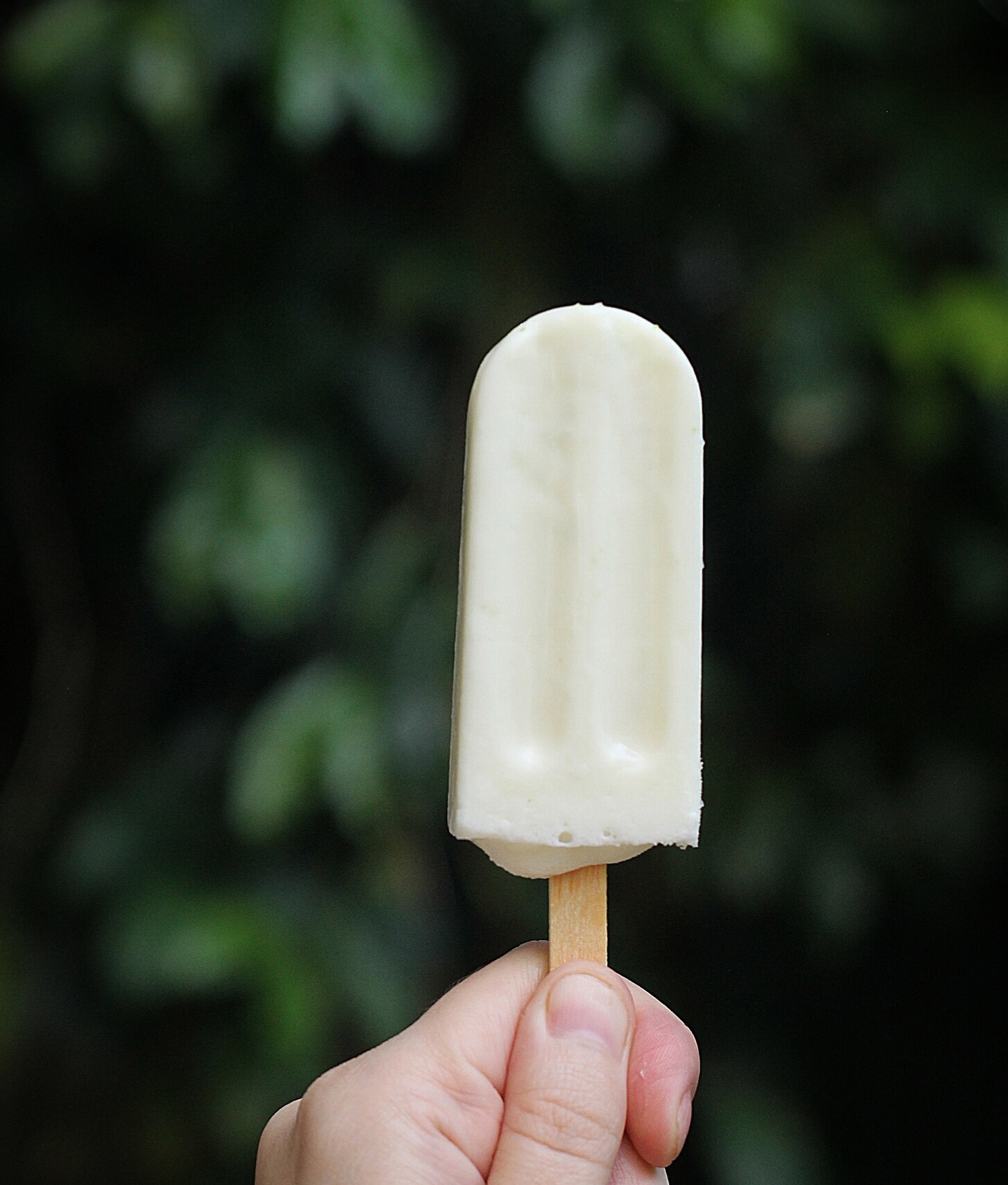 Mousse de Limão
