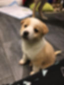 CHLOE