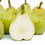 Thumbnail: Pears UK Organic COMICE /500g