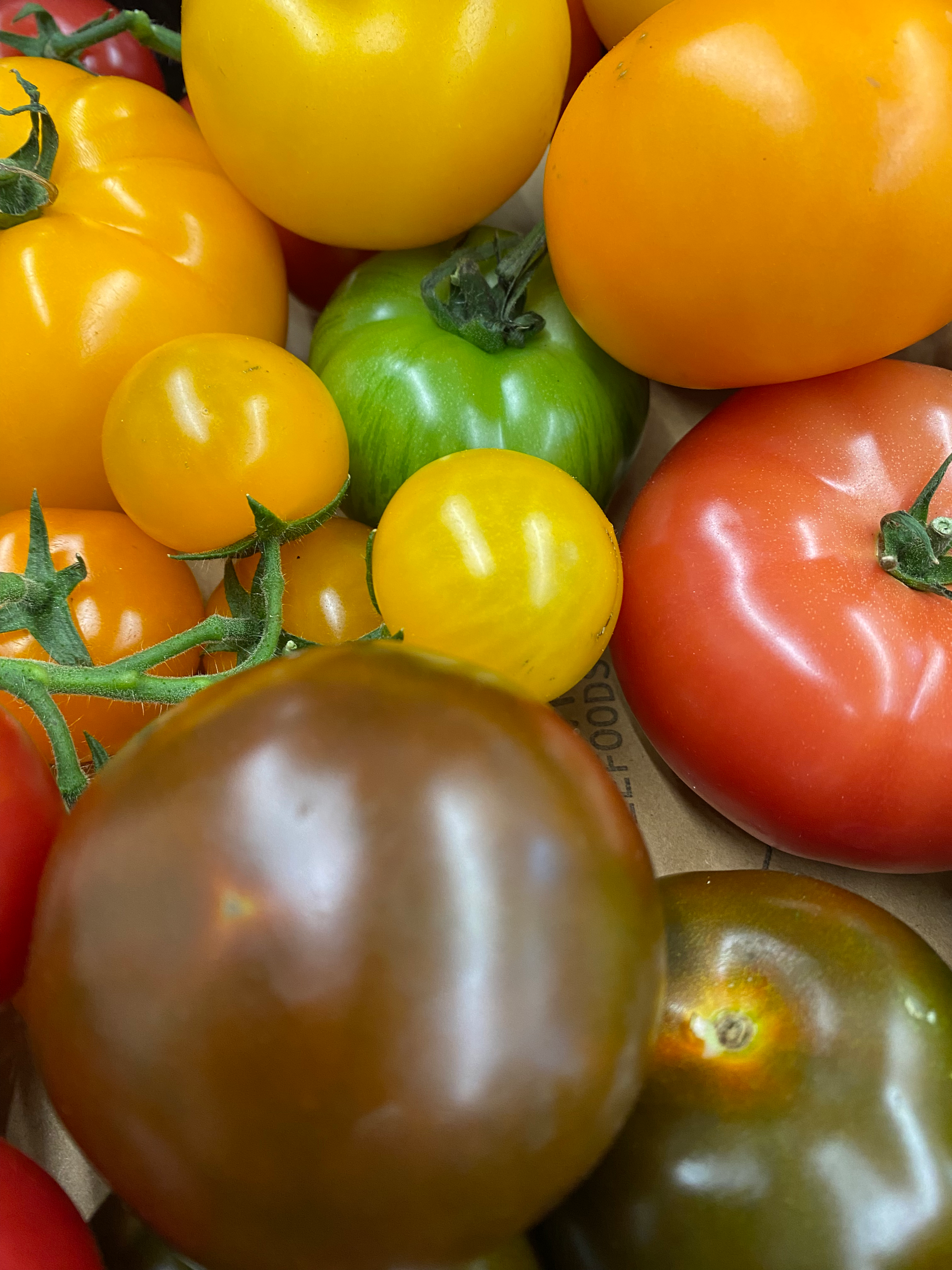 Tomatoes ORGANIC HEIRLOOM /KG