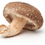Thumbnail: MUSHROOMS Shiitake /KG