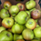 Thumbnail: Apples UK Bramley Cookers ORGANIC/500g