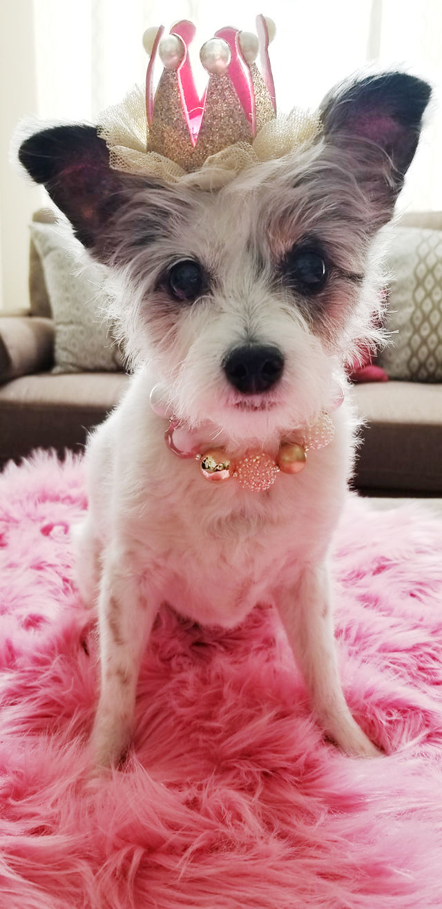 Daizee
