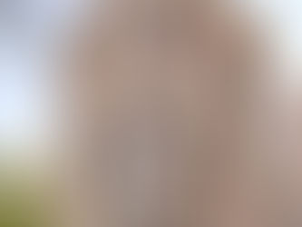 Preisgekröntes nachhaltig gebautes Apartment der Superlative im Herzen von Palma - Mallorca