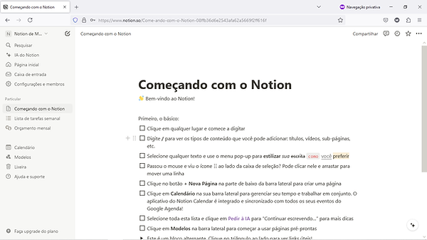 tela com instruções sobre como utilar o notion