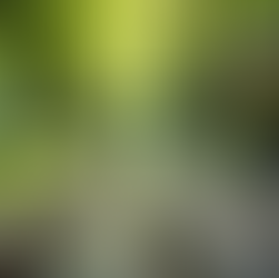 The Connection Between Physical and Mental Health