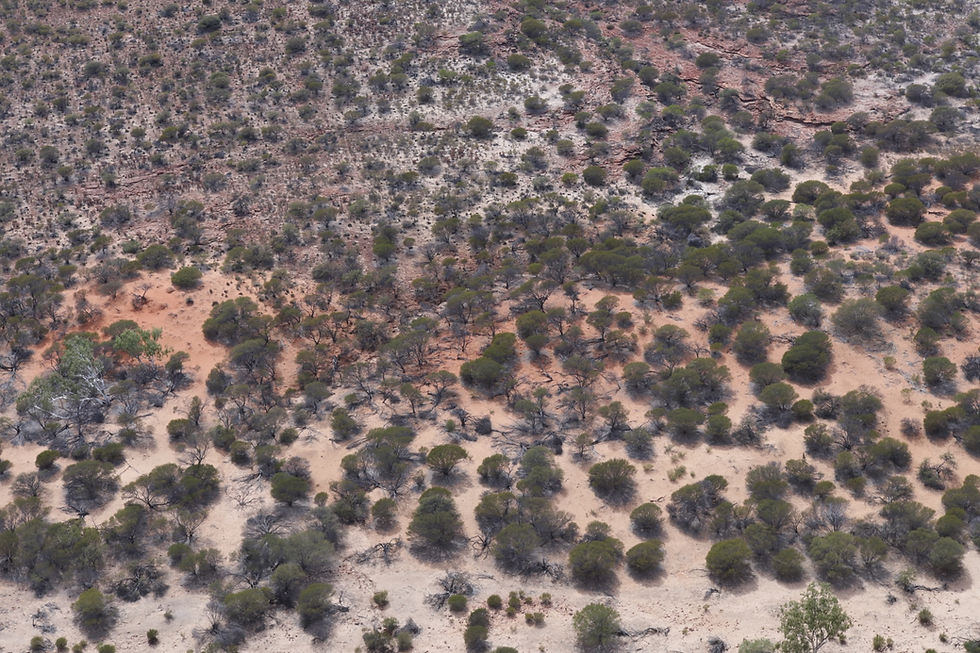 What Raw Earth Means to Me
