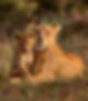 Tanzania-24-1680x1120_edited.jpg
