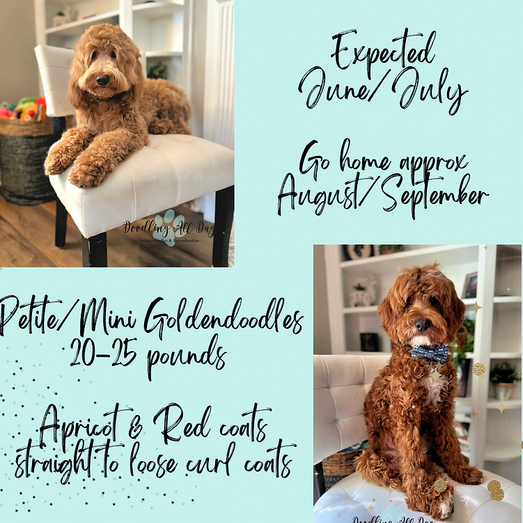 Blush and Gold Elegant Baby Announcement Instagram Post.png