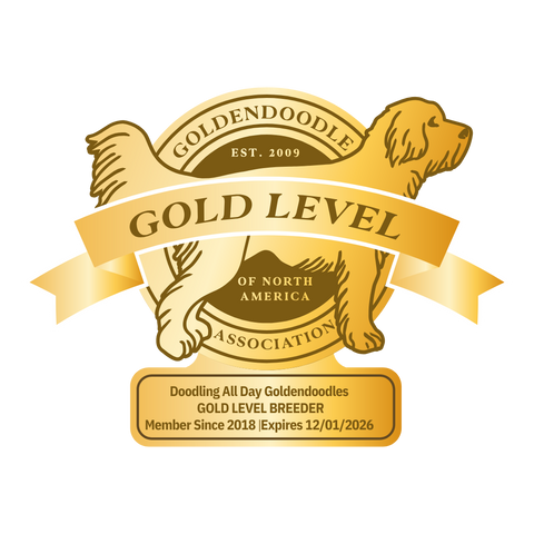 goldendoodle association of north america gana gold level breeder