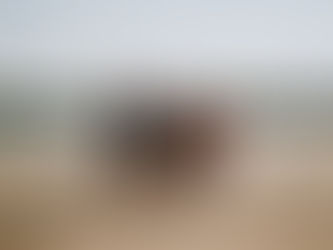 10 reasons why you should participate in a sports camp