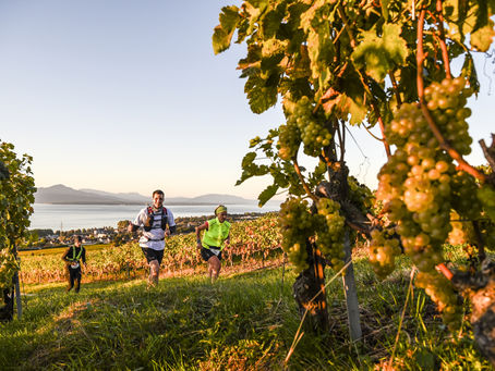 Run Mate: a relay race that crosses borders