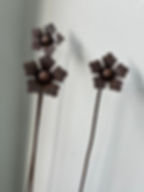 Thumbnail: Daisy Flower Stakes