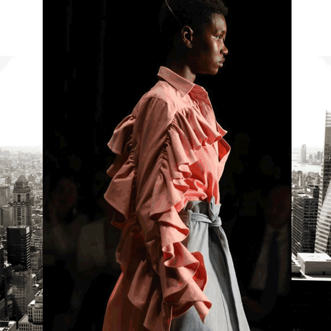 Gif-SPFW0904.gif