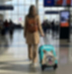 Photo Suitcase – Custom Cutout & Infinite Colors