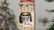 Wooden sled ornament with a kitten photo, "WELCOME" text.