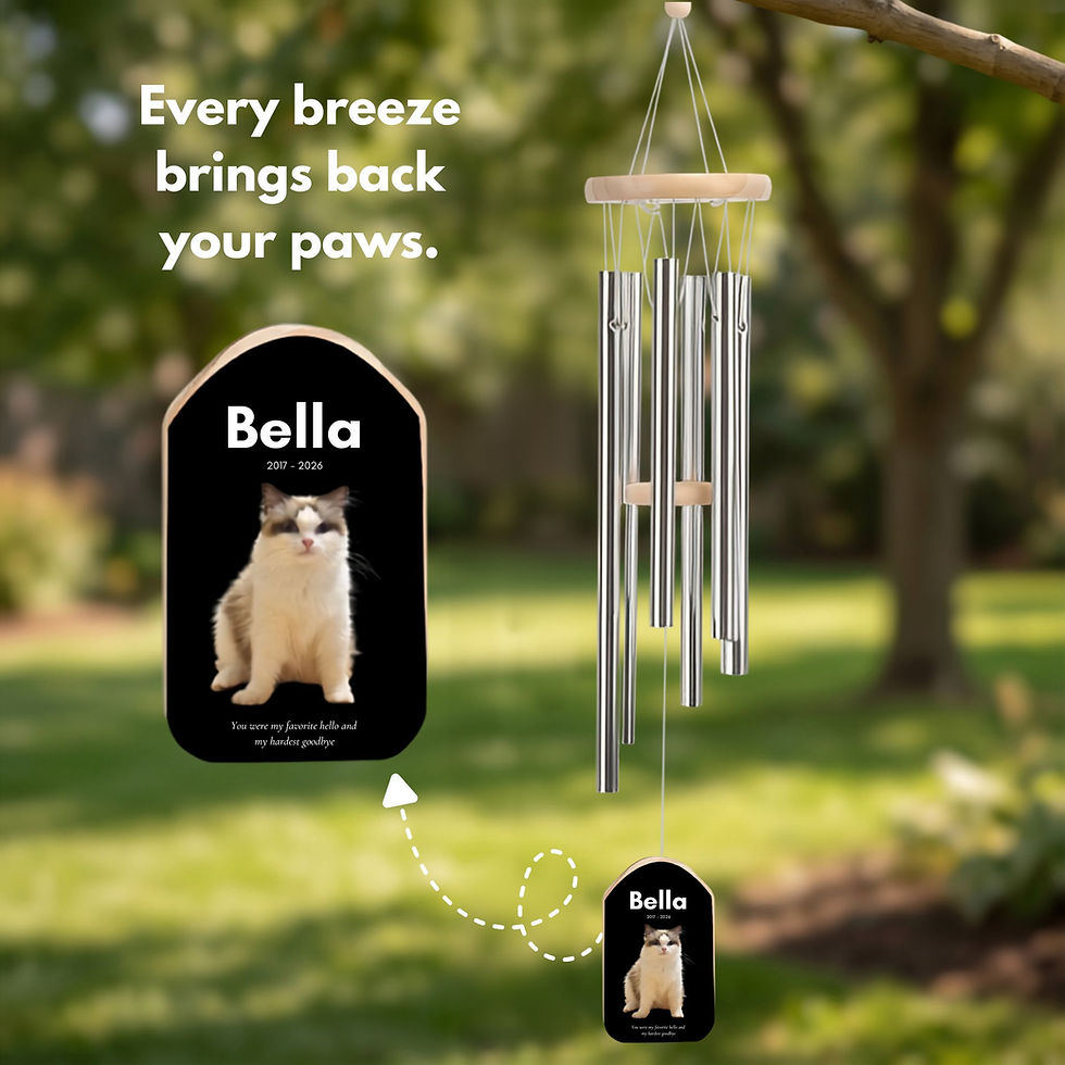 Minimalist Cat Memorial Wind Chime | Dark Background