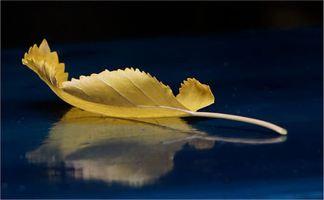 The Complete Guide to Photography Critique in NYC: From Professional Reviews to Free Meetups