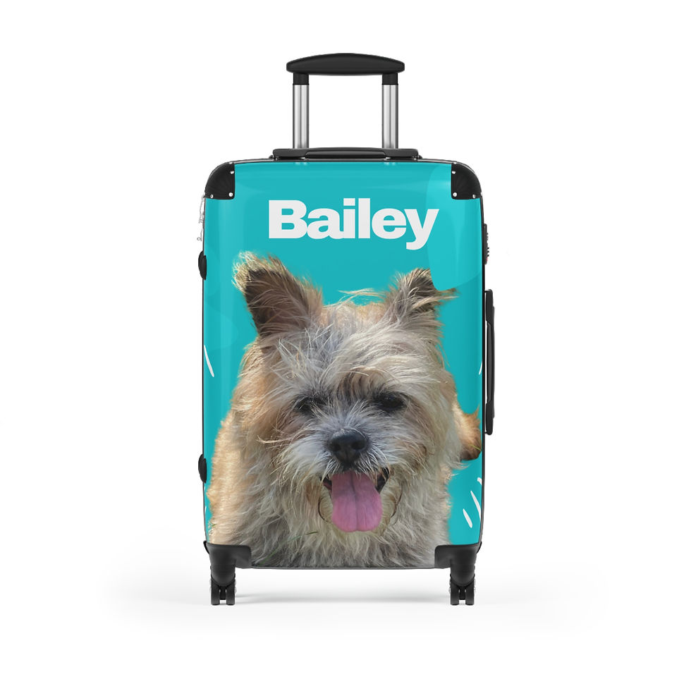 Photo Suitcase – Custom Cutout & Infinite Colors