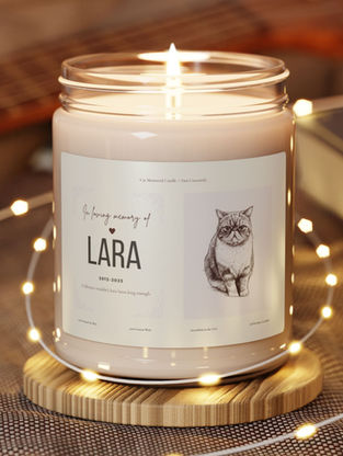 Light a cat memorial candle