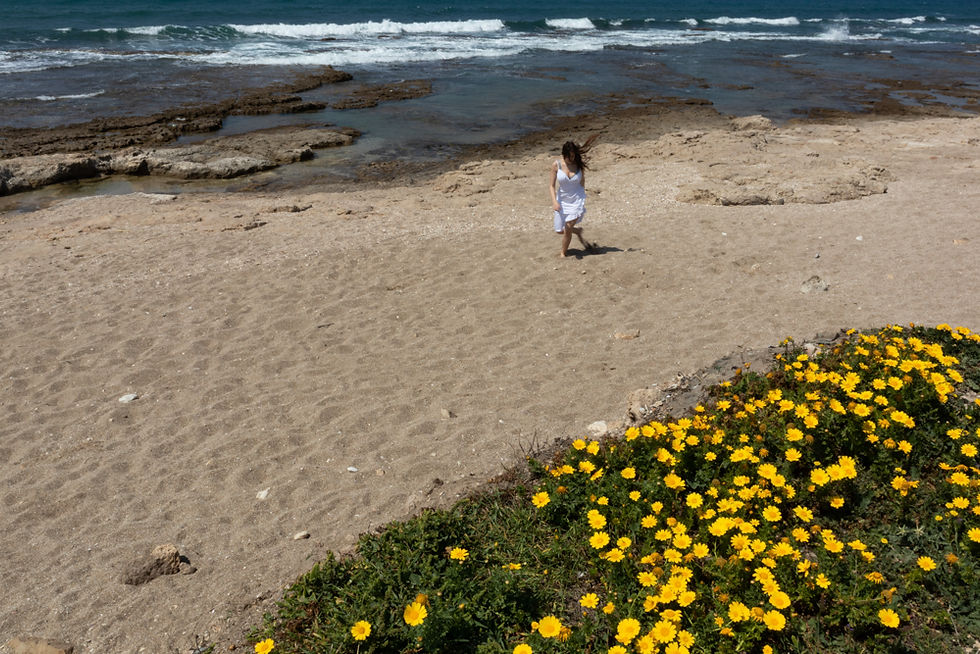 F/25 צמצם  1/80 מהירות תריס   iso 100