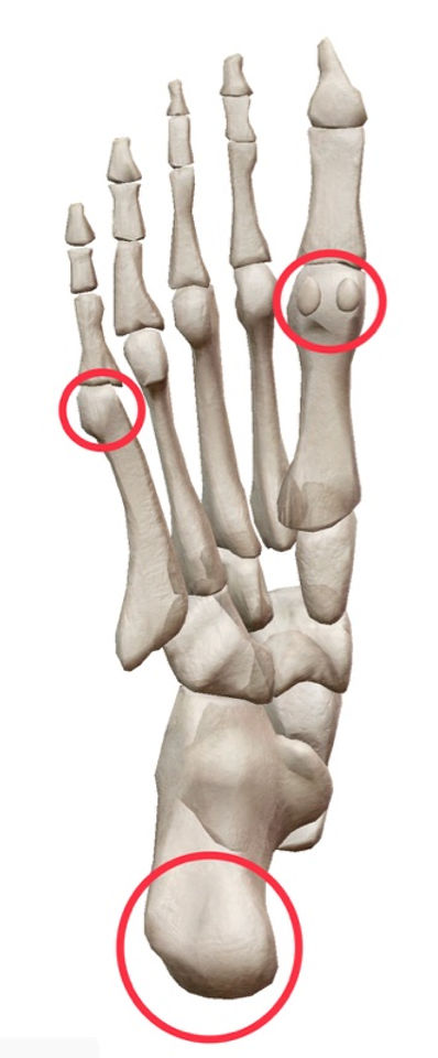 人間の身体のバランスを取る要の 足 人間の身体のバランスを取る要の 足