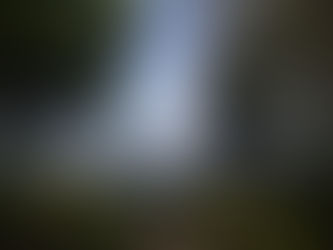 GWは御殿場。アレクサンダー・テクニークの合宿へ