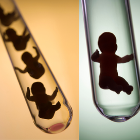 In vitro