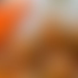 Gluten Free Carrot Almond Muffins