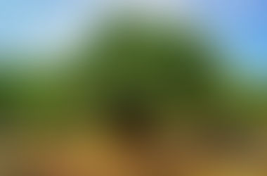 Replacement Theology - Fact or Fiction?