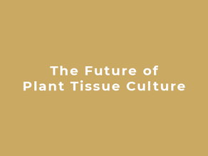 Unveiling the Future of Plant Tissue Culture: Jason Begley's Journey with Zennetix