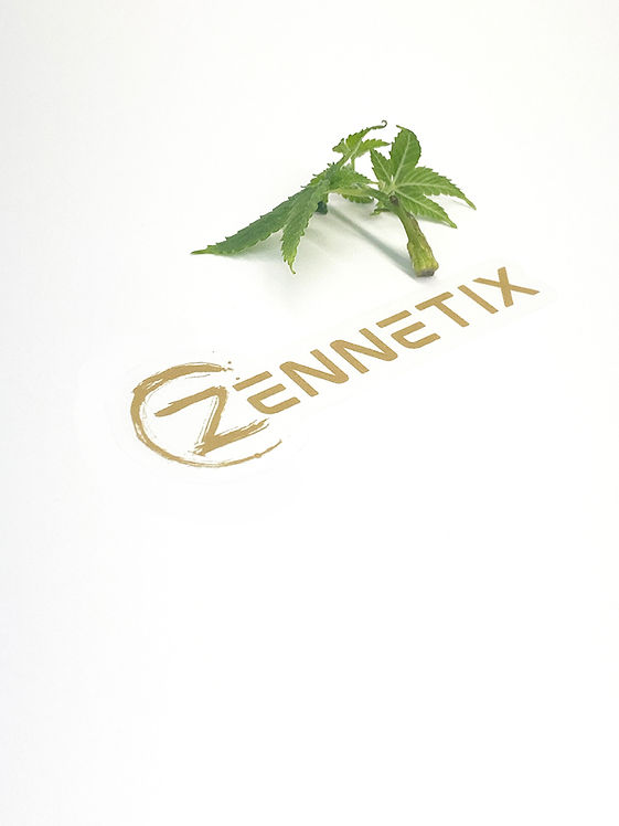 ZennetixTC1.JPG