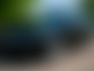 The Car Service You Need: Beyond the Basic Wash 