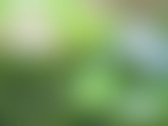 Política Nacional de Resíduos Sólidos: o que é e por que ela é tão importante?
