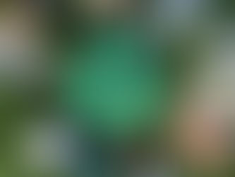 Reciclagem: por que ela é essencial para o futuro do planeta?