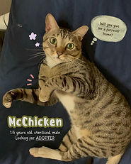 McChicken