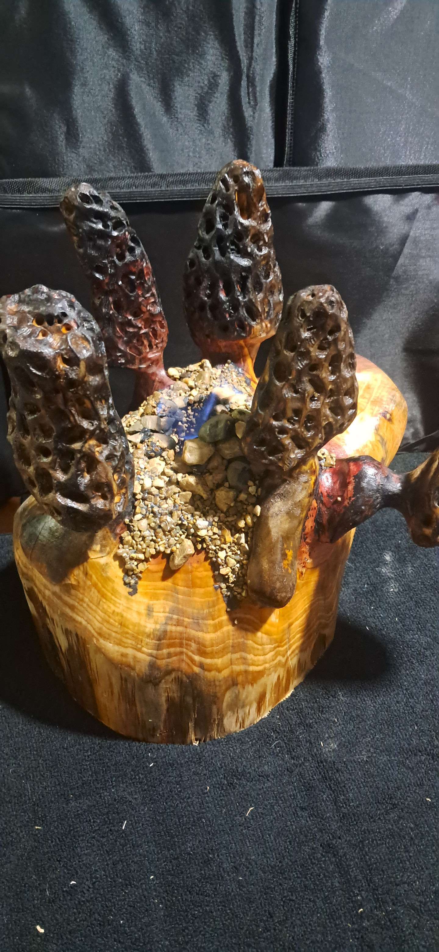 Morels Firepit