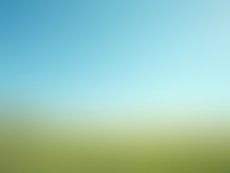 Avantages d'un consultant en immigration pour votre projet